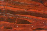 Polished Tiger Iron Stromatolite - ( Billion Years) #75840-1